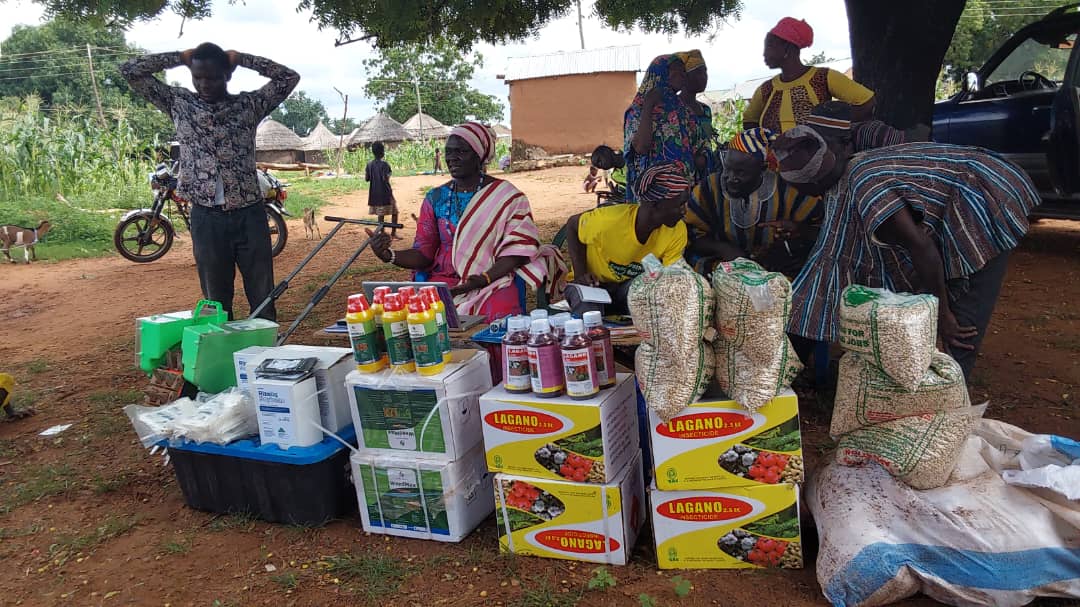 Woman farmer in Northern Ghana